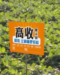 ewc电竞世界杯- 阿尔特塔轮换策略收奇效  